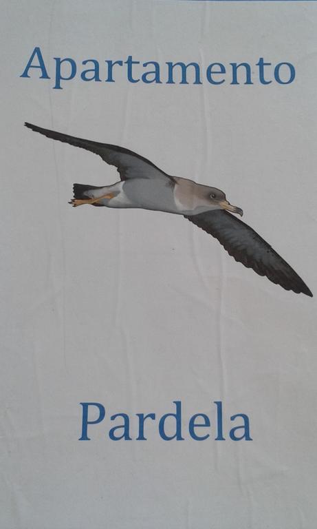 Apartamento Pardela أذيخي المظهر الخارجي الصورة