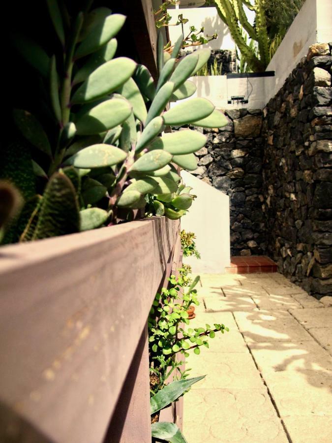 Apartamento Pardela أذيخي المظهر الخارجي الصورة